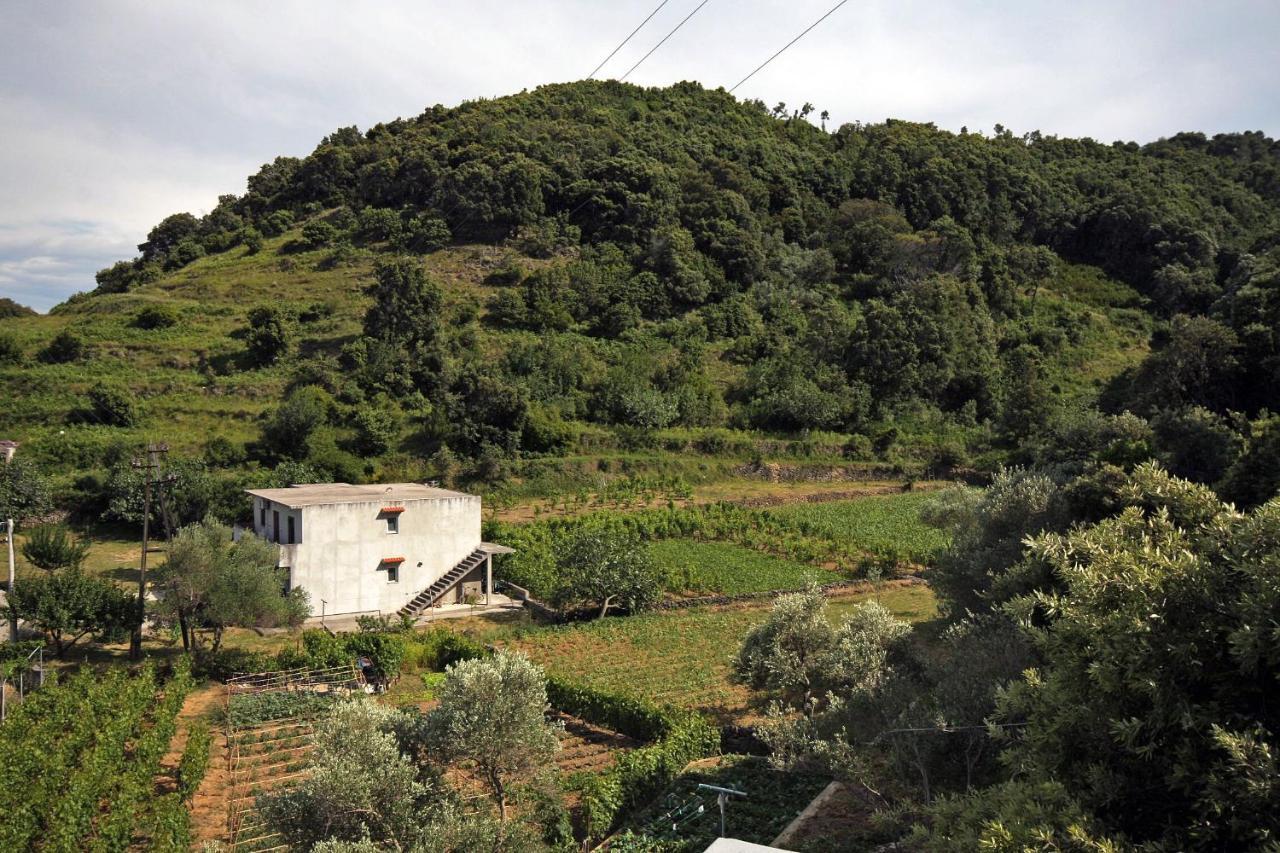 Apartments By The Sea Supetarska Draga - Donja, Rab - 2022 Zewnętrze zdjęcie